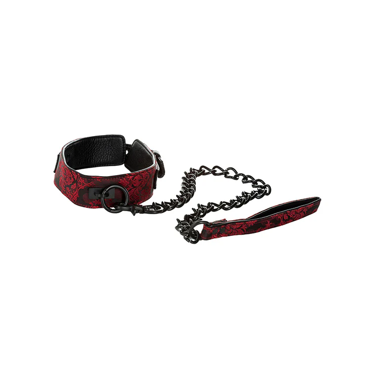 Scandal Collar with Leash