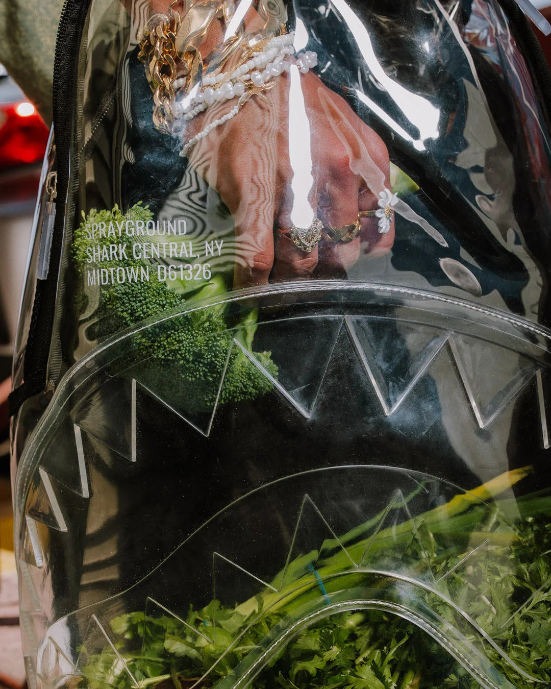 SHARK CENTRAL CLEAR DLXSV BACKPACK BLACKPANEL