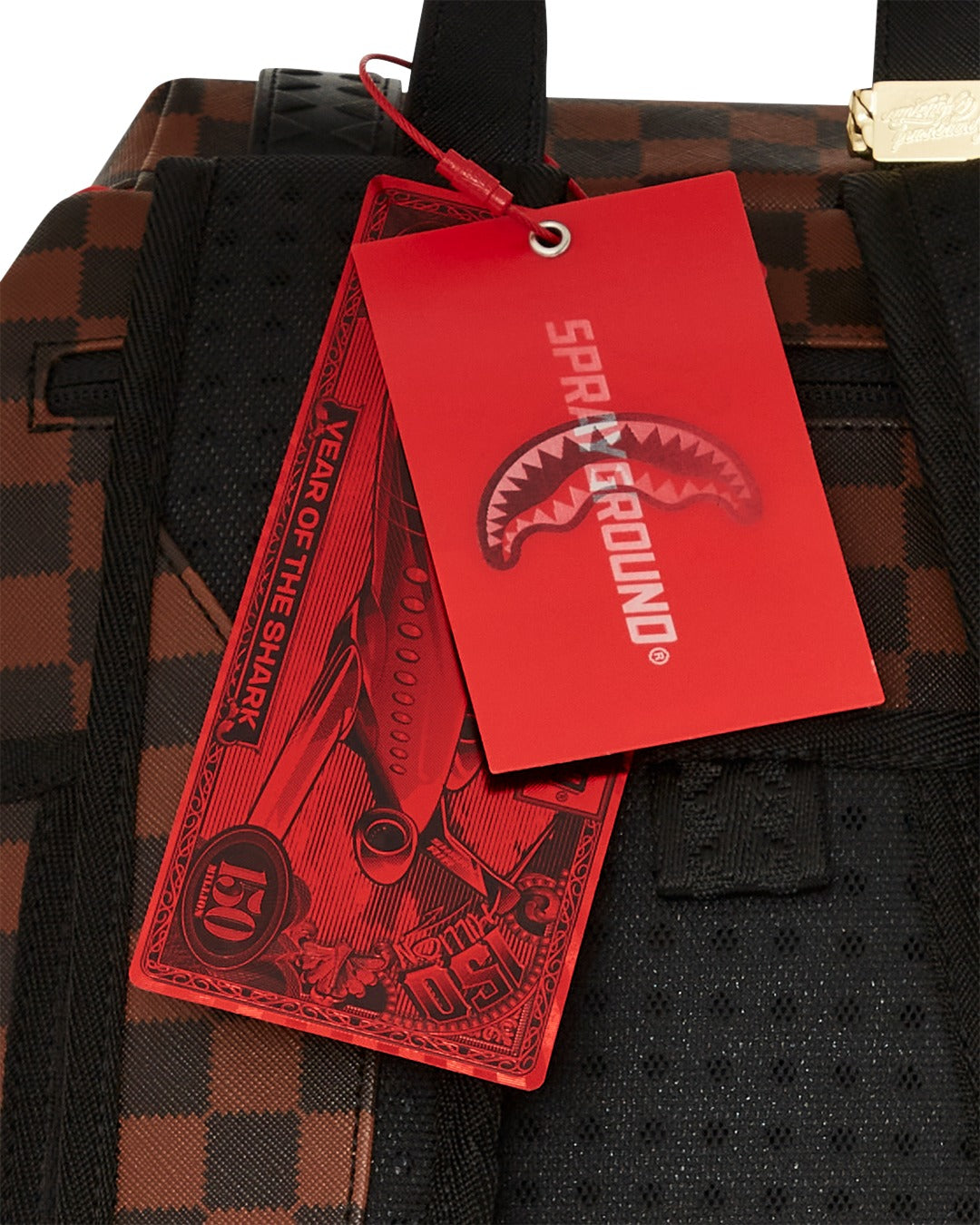 SAWTOOTH SHARKS IN PARIS HILLS BACKPACK